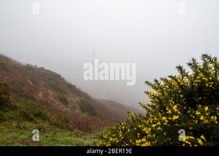 Wheal Prosper Tin Mine, in Nebel gehüllt, Rinsey Helston Cornwall England, Großbritannien Stockfoto