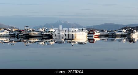 Panoramablick auf Yachten und Motorcruiser, die in Cameron House Marina am Loch Lomond in West Dunbartonshire, Schottland, Großbritannien liegen Stockfoto