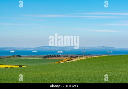 East Lothian, Schottland, Großbritannien. April 2020. UK Wetter: In der Ferne sind die mit Mothballs bemalten Fred Olsen Kreuzfahrtschiffe im Firth of Forth aufgrund der Covid-19 Pandemie außer Betrieb. L bis R: MV Boudicca, MV Black Watch, MV Balmoral, MV Braemar Stockfoto