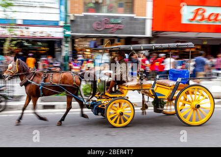 A Horse and Carriage, Malioboro Street, Yogyakarta, Indonesien. Stockfoto