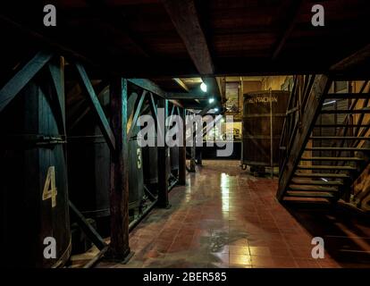 Fässer im Havana Club Rum Museum, Interieur, La Habana Vieja, Havanna, La Habana Provinz, Kuba Stockfoto