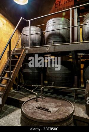 Fässer im Havana Club Rum Museum, Interieur, La Habana Vieja, Havanna, La Habana Provinz, Kuba Stockfoto