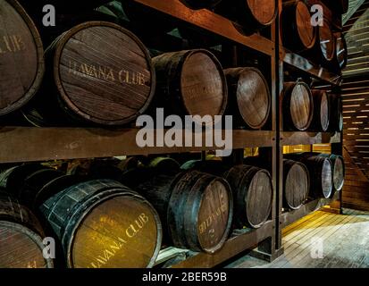 Fässer im Havana Club Rum Museum, Interieur, La Habana Vieja, Havanna, La Habana Provinz, Kuba Stockfoto