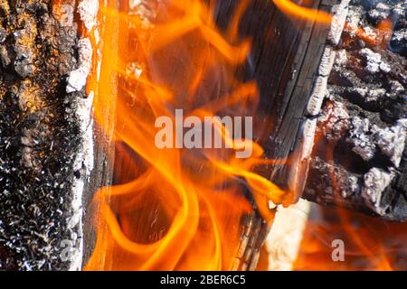 Nahaufnahme von Flammen und brennendem Holzkohlenbrennholz in einem Kamin Stockfoto