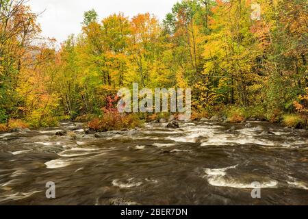 Hoffman Notch Brook im Herbst, in der Nähe von North Hudson, Essex County, NY Stockfoto