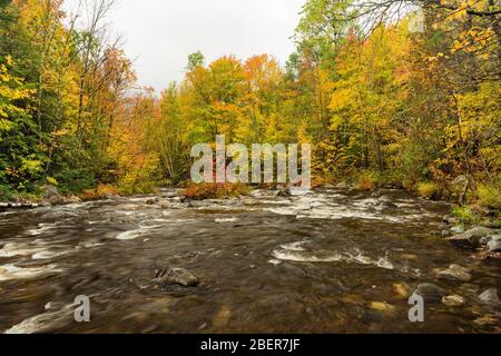 Hoffman Notch Brook im Herbst, in der Nähe von North Hudson, Essex County, NY Stockfoto