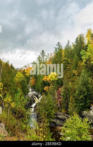 Wasserfall und Boquet River durchschneiden einen Adirondack Wald, Giant Mountain Wilderness, Essex County, NY Stockfoto