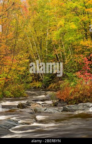 Hoffman Notch Brook im Herbst, in der Nähe von North Hudson, Essex County, NY Stockfoto