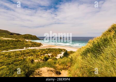 Panorama über Sandfly Bay, Otago Peninsula, Dunedin, Otago, Neuseeland Stockfoto