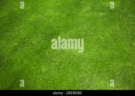 Teil natürlichen Fußballplatz Stockfoto