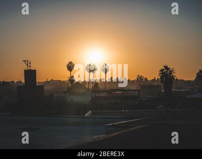 Sonnenuntergang Sonnenaufgang über dem Palmenhain in Marrakesch, Marokko. Palmeraie - Silhouette von Palmen mit Sonne hinter. Sommer Reise Konzept Foto in Afrika. Stockfoto