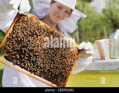 Imker hält eine Wabenfrau in schützender Arbeitskleidung, die den Wabenrahmen bei einem Bienenhaus inspiziert. Stockfoto