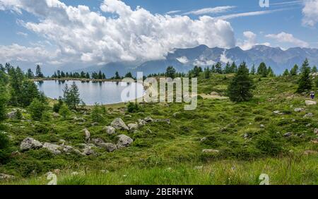 Sommer Blick auf den kleinen See im Pejo-Tal, Trentino-Südtirol, Norditalien Stockfoto