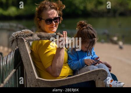 London, Großbritannien. April 2020. WETTER Covid Spring in St James Park London Credit: Ian Davidson/Alamy Live News Stockfoto