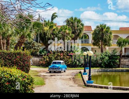 Oldtimer in Josone Park, Varadero, Provinz Matanzas, Kuba Stockfoto