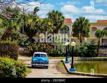 Oldtimer in Josone Park, Varadero, Provinz Matanzas, Kuba Stockfoto