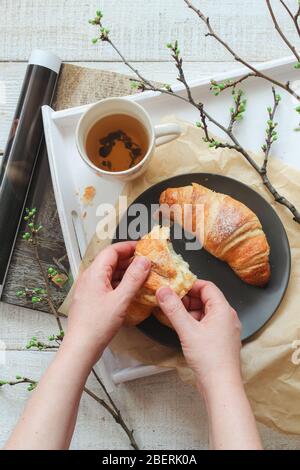 Die Hände der Frau halten Croissant und eine Tasse Tee auf einem weißen Tisch. Frühlingsstimmung von oben aufgenommen Stockfoto