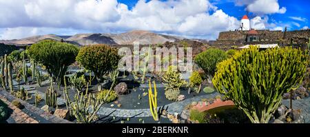 Wunderschöner Kaktusgarten auf Lanzarote, Spanien. Stockfoto