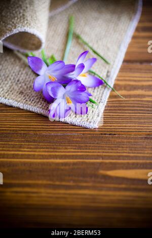 Frühlingsblumen auf einem Holztisch Stockfoto