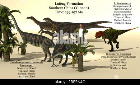 Größenreferenz-Chart der frühen Dinosaurier aus der Lufeng-Formation in China. Stockfoto