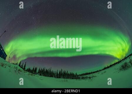 Der Bogen des Ovals über dem nördlichen Himmel in Churchill, Manitoba, Kanada. Stockfoto