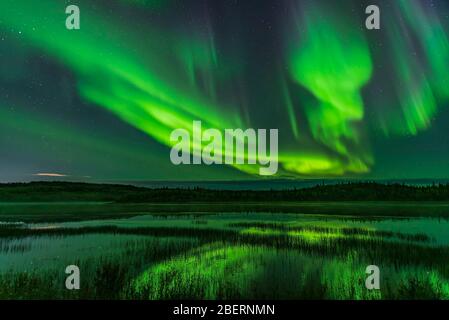 Aurora über Prosperous Lake, nahe Yellowknife, Kanada. Stockfoto