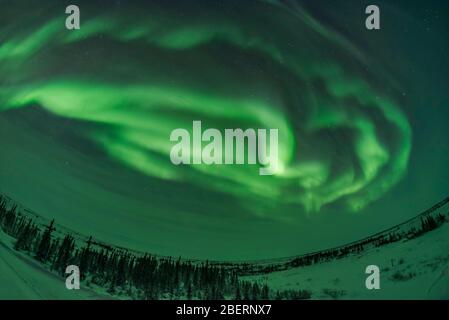 Auroralbögen, Schleifen und Wirbel, Manitoba, Kanada. Stockfoto