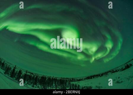 Auroralbögen, Schleifen und Wirbel, Manitoba, Kanada. Stockfoto