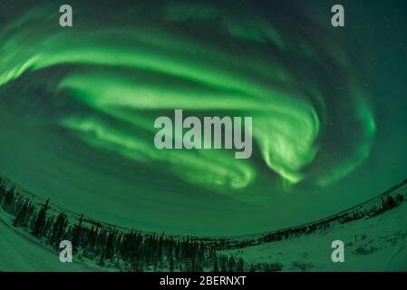 Auroralbögen, Schleifen und Wirbel, Manitoba, Kanada. Stockfoto