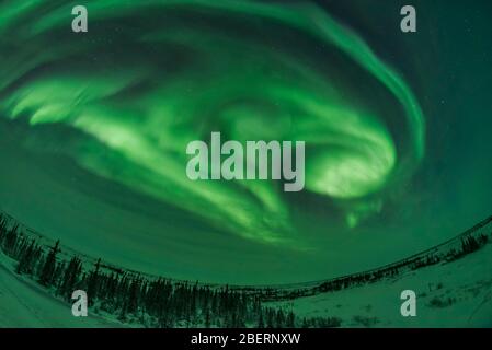 Auroralbögen, Schleifen und Wirbel, Manitoba, Kanada. Stockfoto