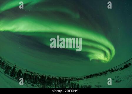 Auroralbögen, Schleifen und Wirbel, Manitoba, Kanada. Stockfoto