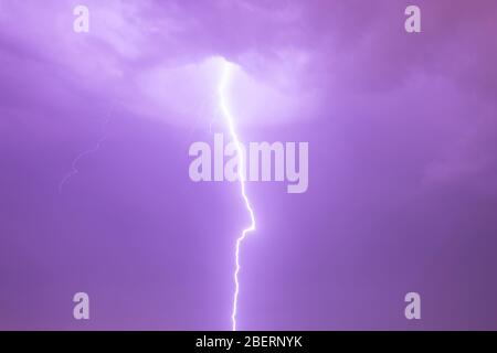 Gerade nach unten elektrische Entladung von hinter einer Wolke in stürmischen Himmel mit Blitzaktivität. Himmel in lila (Magenta) Farbe. Staccato Lightning. Stockfoto