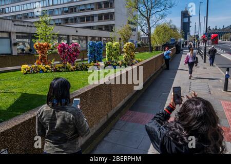 London, Großbritannien. April 2020. Passanten bewundern und fotografieren eine Blumenvererber, die "I Love (Heart) NHS" buchstabiert, vor dem St. Thomas' Hospital - die "Sperre" geht in London wegen des Coronavirus (Covid 19)-Ausbruchs weiter. Kredit: Guy Bell/Alamy Live News Stockfoto