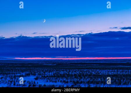 Der niedrige, sich auswachende Halbmond am Abendhimmel. Stockfoto