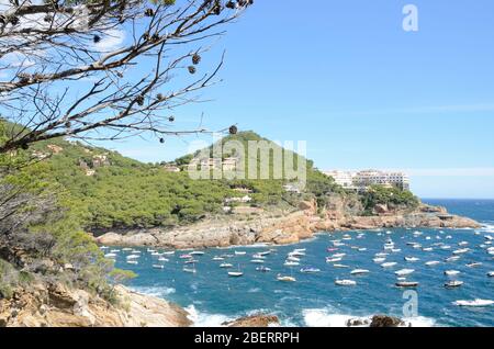 Malerischen Blick auf die kleine Bucht mit Schiffen auf dem Meer in Sa Riera, Begur, Costa Brava, Katalonien, im Nordosten Spaniens. Stockfoto