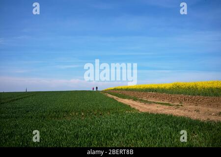 Thaxted Essex UK. Wanderer, die Übung machen, während Coronavirus-Sperre nach unten. April 2020 Stockfoto