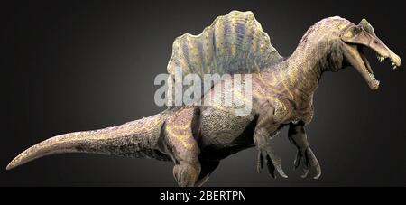 Spinosaurus Dinosaurier, Seitenansicht. Stockfoto