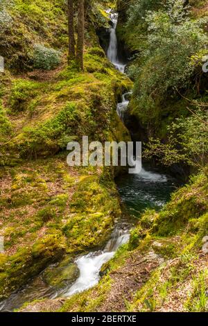 Poulanass Wasserfall in Wicklow Mountains Nationalpark, Irland. Stockfoto