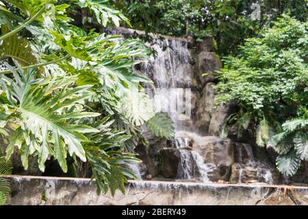 Ein wunderschöner Wasserfall im Perdana Botanical Gardens in Kuala Lumpur, Malaysia. Stockfoto