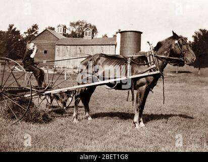 Ein achtjähriger Bauernjunge, der auf einem von Pferden gezogenen Heuschnepfen sitzt, 1915. Stockfoto