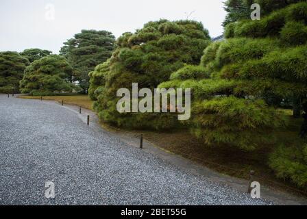 Kyoto Imperial Palace, 3 Kyotogyoen, Kamigyo Ward, Kyoto, 602-0881, Japan Stockfoto