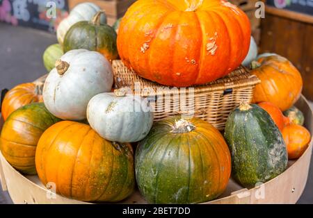 Verschiedene Kürbisse closeup Stockfoto