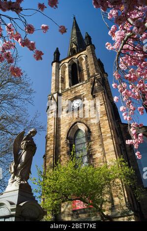UK,South Yorkshire,Elsecar,Holy Trinity Pfarrkirche im Frühling mit Kirschblüte in voller Blüte Stockfoto