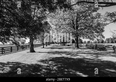 Eingang des Bauernhauses mit Straße zum Haus Stockfoto