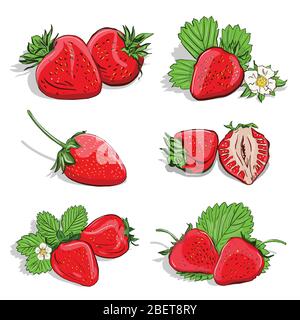 Vektorgrafik von roten Erdbeeren mit grünen Blättern auf einem weißen isolierten Hintergrund Stock Vektor