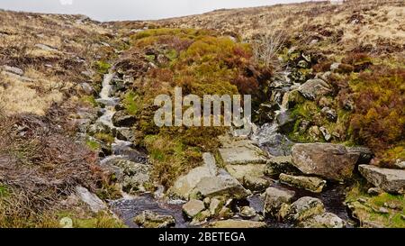 Bach und Felsen in Heide in Wicklow Mountains. Stockfoto