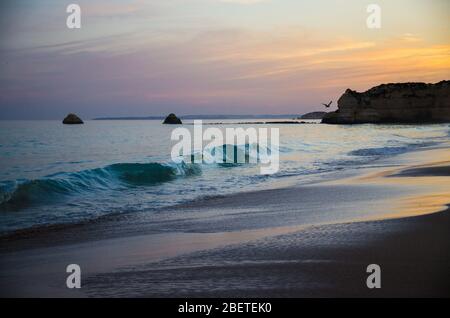 Portugal, Algarve, die besten Strände von Portimao, Praia da Rocha, Sonnenuntergang über dem Atlantischen Ozean, Menschen an der Küste des abendlichen Atlantischen Ozeans, Seagu Stockfoto