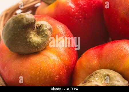 Brasilianische Cashewnüsse oder Caju Fruit Hintergrundbild. Stockfoto