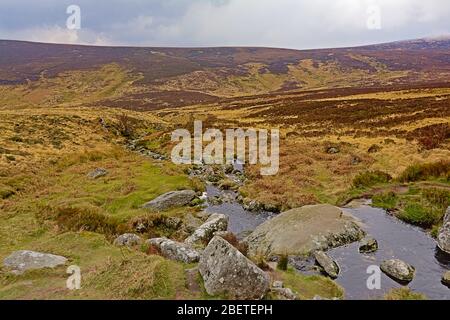 Bach und Felsen in Heide in Wicklow Mountains. Stockfoto