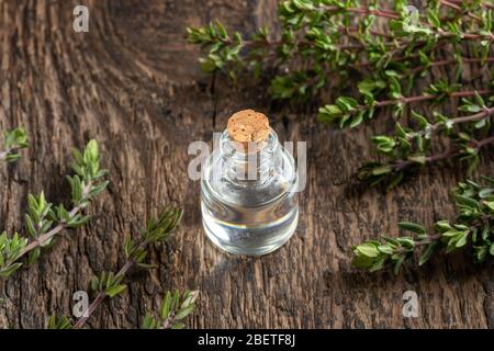 Eine transparente Flasche ätherisches Öl mit Thymian-Zweigen Stockfoto